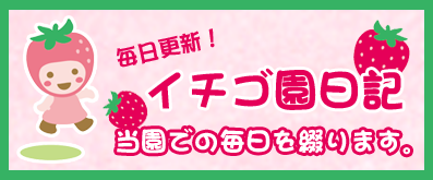 イチゴ園日記